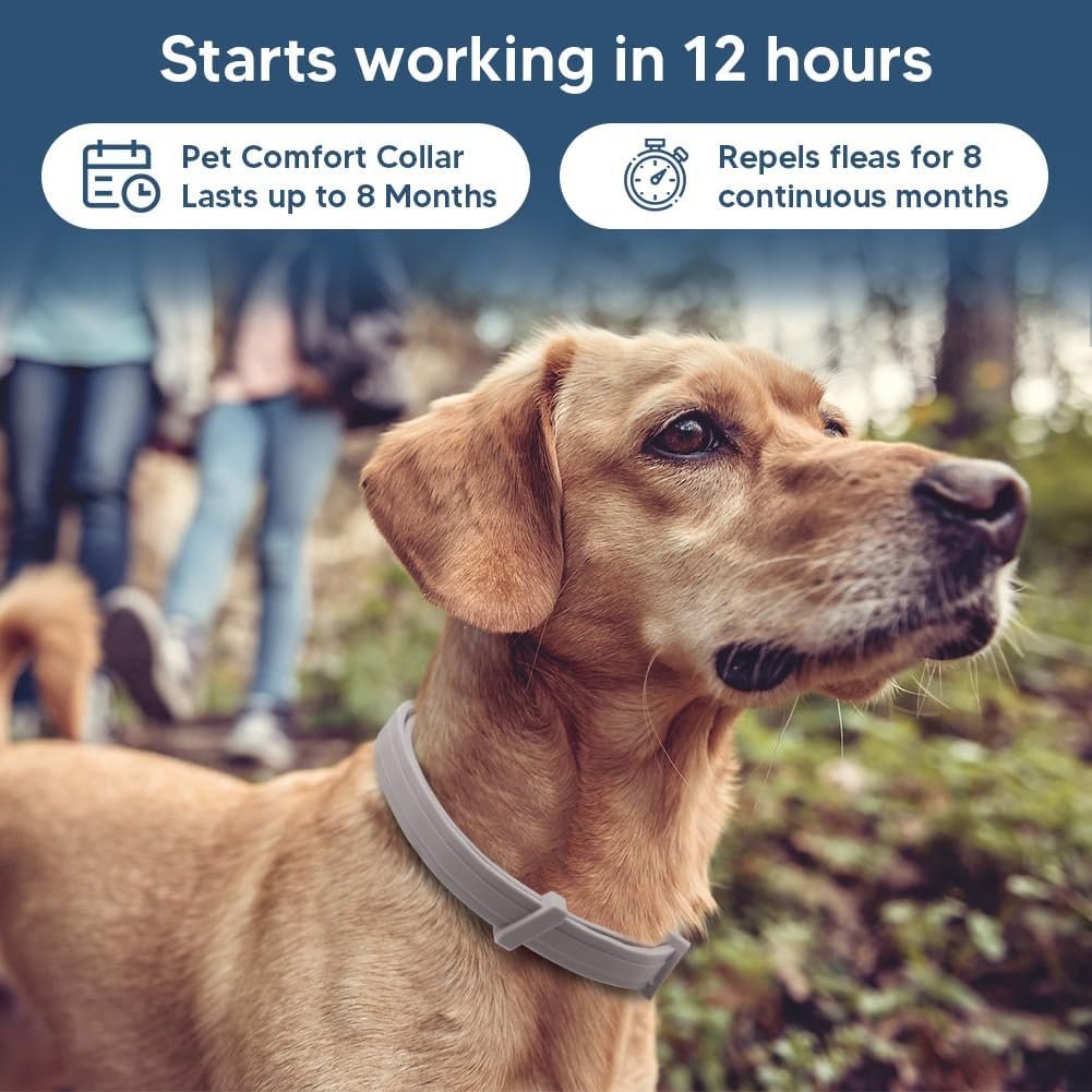 Flea Collars for Dog, Flea & Tick Collar for Dogs, Tick Collar for Large Dogs, Upgraded Sturdy & Adjustable 8 Months Prevention-Pack of 2 - Image 7