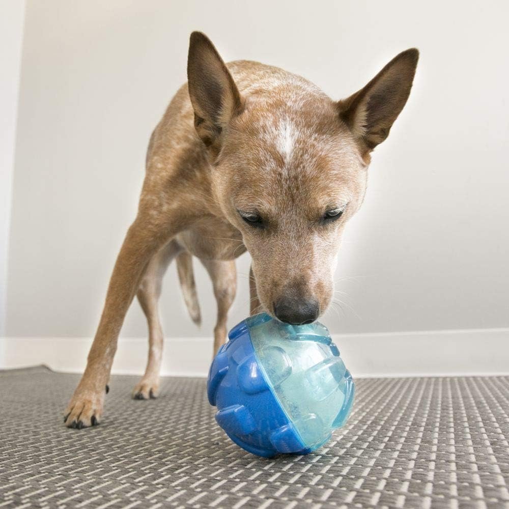 KONG - Rewards Ball - Ultra Durable Interactive Treat Dispensing Dog Toy - for Large Dogs - Image 2