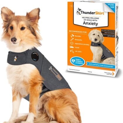 ThunderShirt for Dogs, Large, Heather Gray Classic - Dog Anxiety Relief Calming Vest