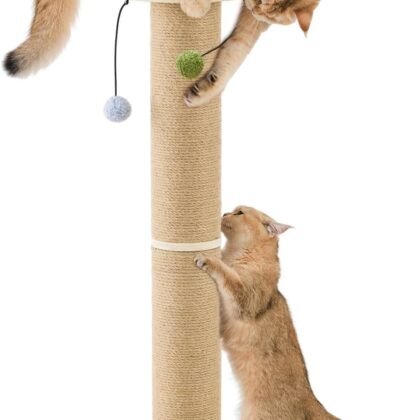 35'' Tall Cat Scratching Post, 4.7'' Large Scratch Post with Thicken Wooden Base for Indoor Cats Adults, Sisal Scratcher Top & Dangling Balls, Super Sturdy