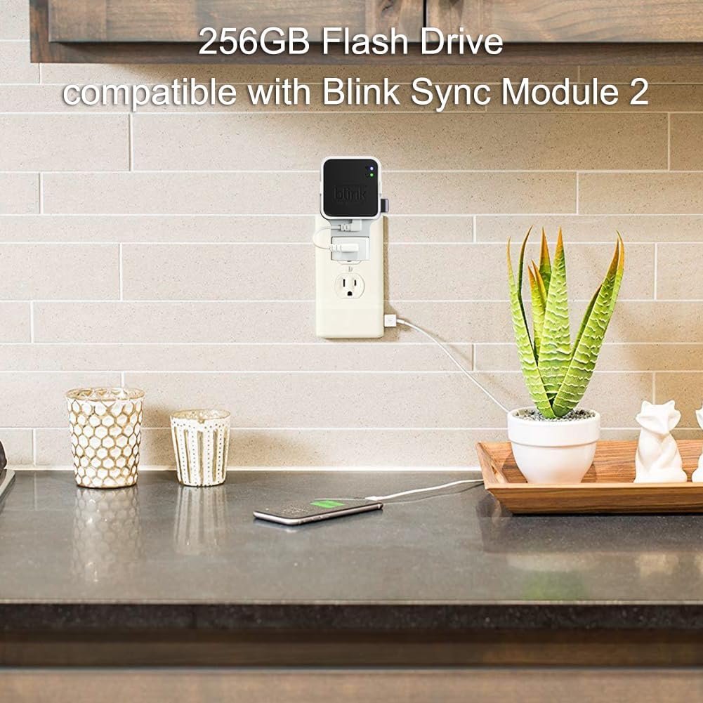 256GB Blink USB Flash Drive, with Outlet Wall Mount for Sync Module, Space-Saving Mount Bracket Holder for Blink Outdoor/Indoor Security System (Sync Module 2 is NOT Included),1Pack - Image 3