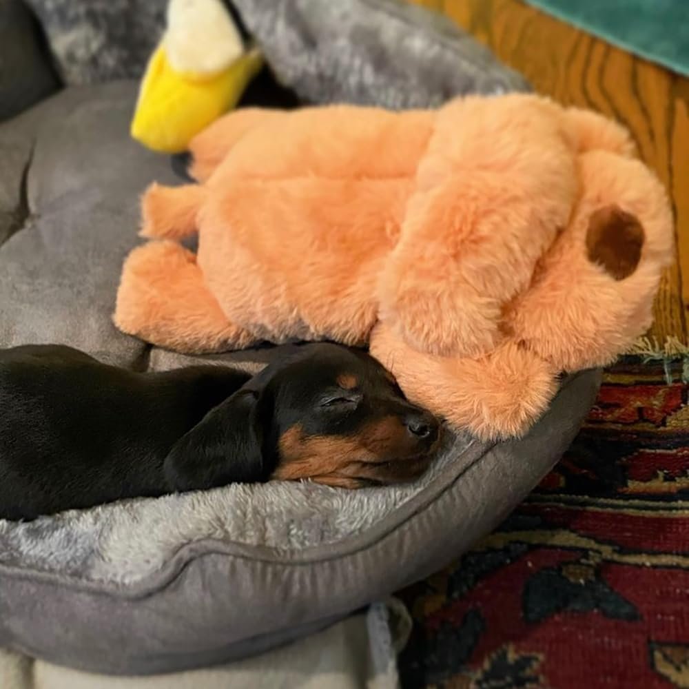 Snuggle Puppy Original Dog Toy for Small Breeds - Heartbeat Puppy for Dogs - Pet Anxiety Relief and Calming Aid - Comfort Dog Toys for Behavioral Training. Heat Pack not Included - Image 6