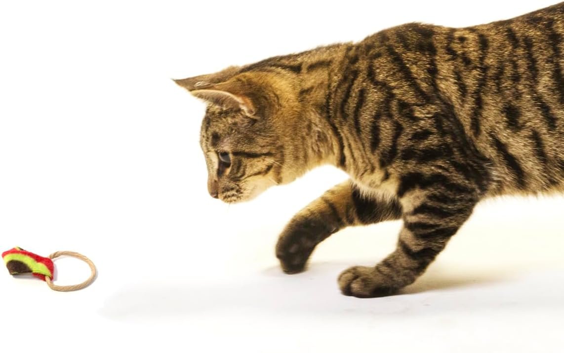 Cat Dancer Products Cat Chaser with Colorful Fleece, Interective Toy for Exercise with Ringtail Whisker & Bowtie (Pack of 7) - Image 7