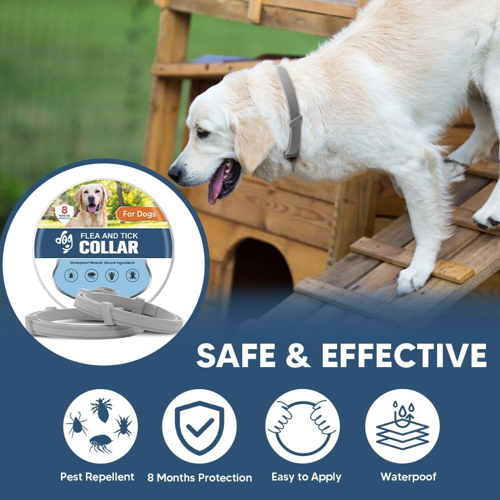 Flea Collars for Dog, Flea & Tick Collar for Dogs, Tick Collar for Large Dogs, Upgraded Sturdy & Adjustable 8 Months Prevention-Pack of 2 - Image 3
