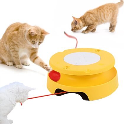 LASOCUHOO 2-in-1 Automatic Interactive Cat Toys with Track & Jumping String Electric Cats Toy with Rolling Balls, Auto Shut-Off Kitten Toys for Multi-Cat Play Battery-Powered