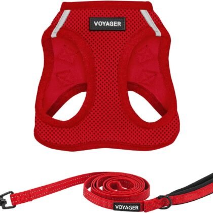Voyager Step-in Air All Weather Mesh Harness and Reflective Dog 5 ft Leash Combo with Neoprene Handle, for Small, Medium and Large Breed Puppies by Best Pet Supplies - Harness Leash Set (Red), XS