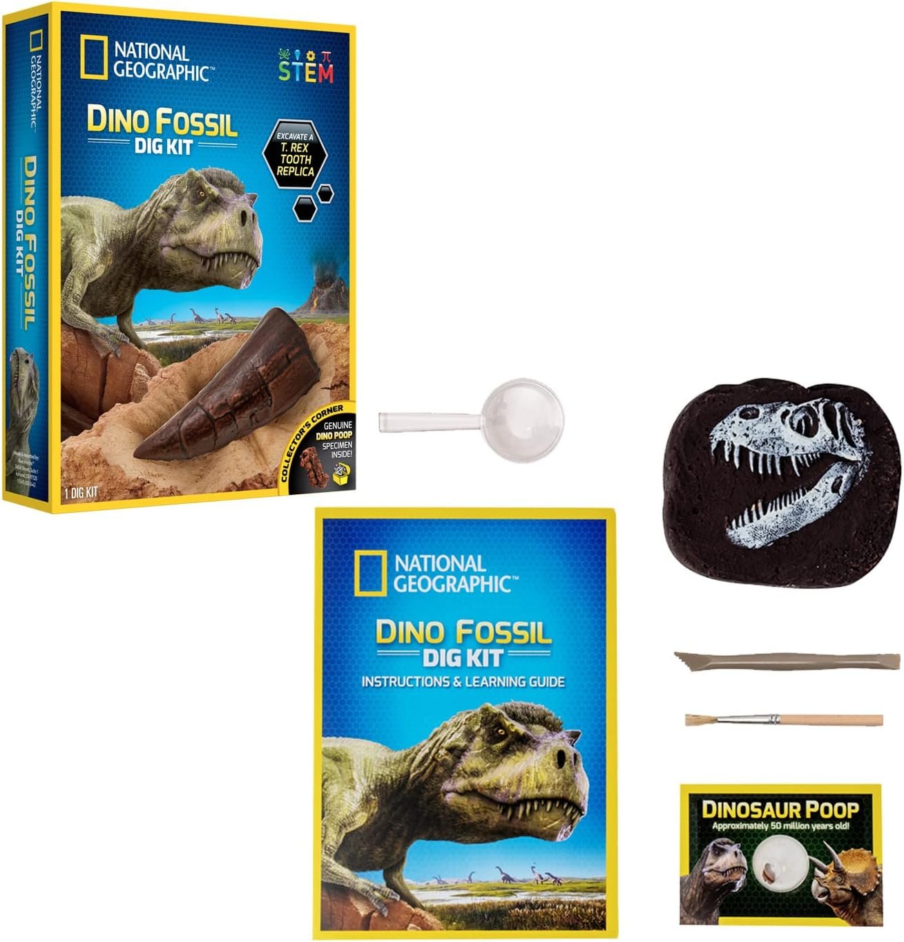 Bandai National Geographic - Excavation Kit - 3 Dinosaur Fossils to Dig Out - Educational and Science Game - STEM - JM80568M