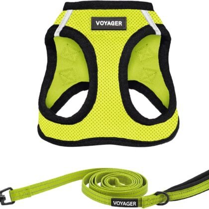 Voyager Step-in Air All Weather Mesh Harness and Reflective Dog 5 ft Leash Combo with Neoprene Handle, for Small, Medium and Large Breed Puppies by Best Pet Supplies - Green, Medium