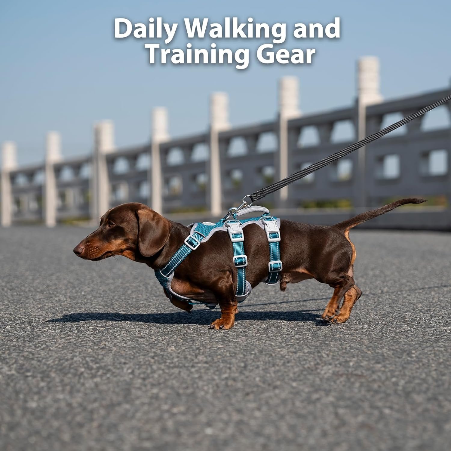 Huntboo Escape Proof Dog Harness, No Pull Reflective Harness with Lift Handle, Adjustable Pet Vest with Front and Back Leash Clips for Small Medium Large Dogs Walking Hiking Training (Teal,L) - Image 7