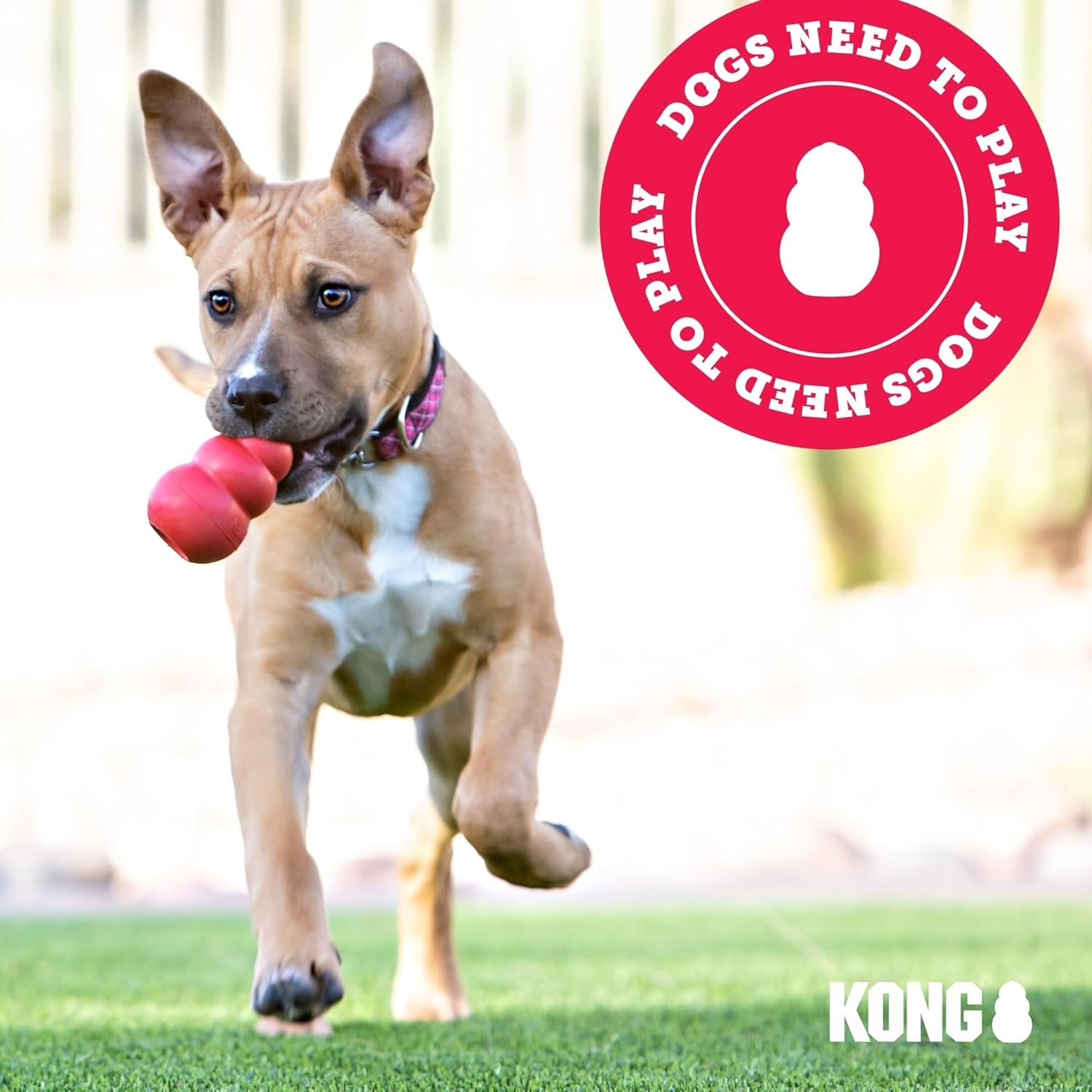 KONG - Rewards Ball - Ultra Durable Interactive Treat Dispensing Dog Toy - for Large Dogs - Image 8