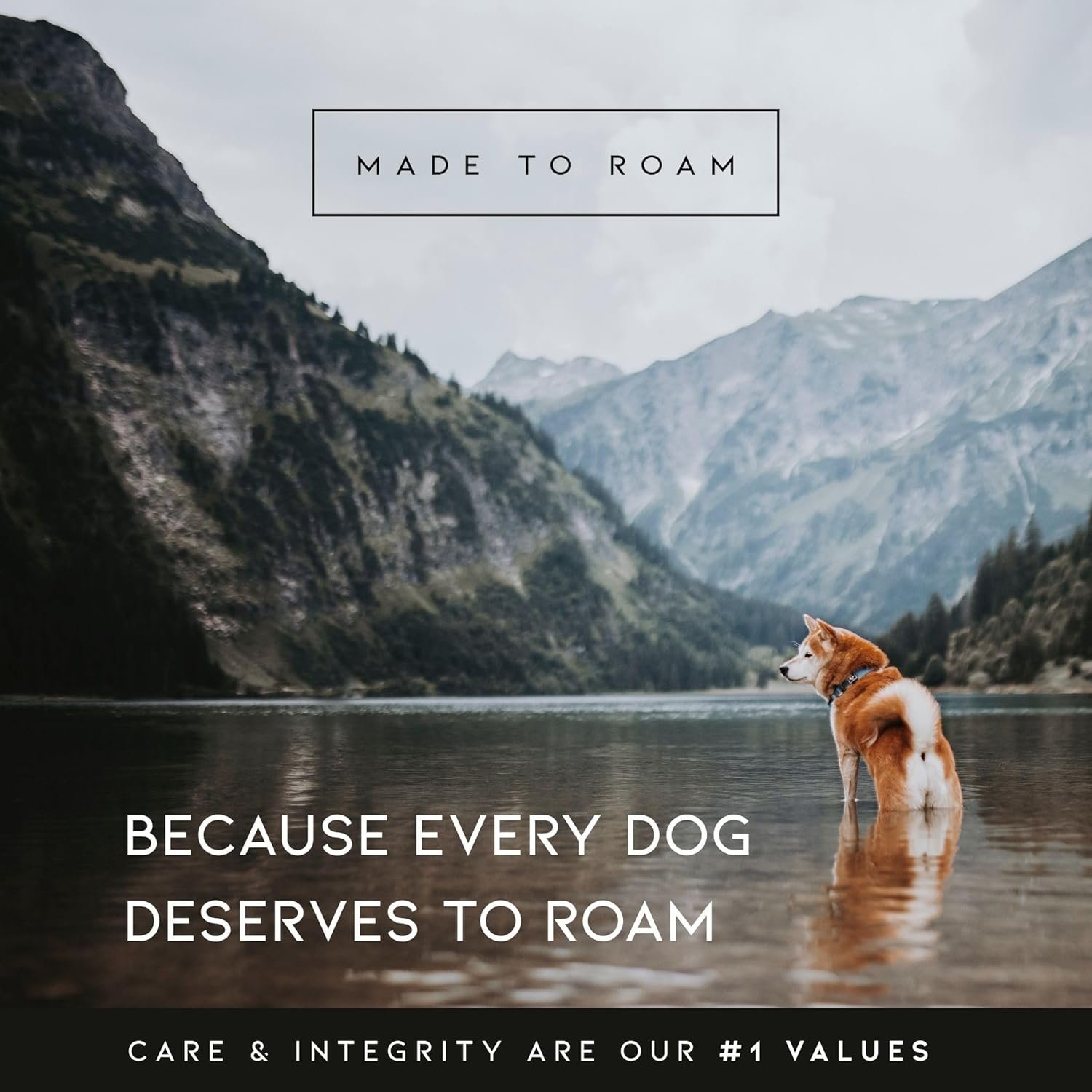 MADE TO ROAM Premium Explorer Harness - Y-Shaped Dog Harness with Adjustable Durable Nylon, Soft Padding, Metal Buckles and Leather Handle for Small, Medium, Large Dogs (Oregon Haze, Size 1) - Image 6