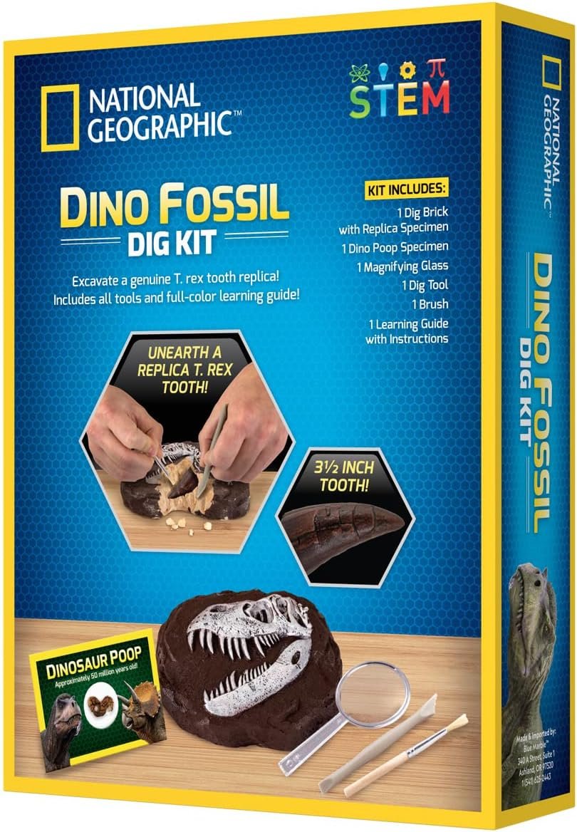 Bandai National Geographic - Excavation Kit - 3 Dinosaur Fossils to Dig Out - Educational and Science Game - STEM - JM80568M - Image 5