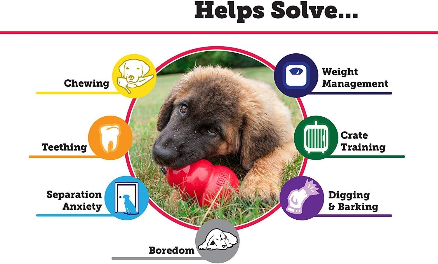 KONG 2 Pack Large Classic - Image 3