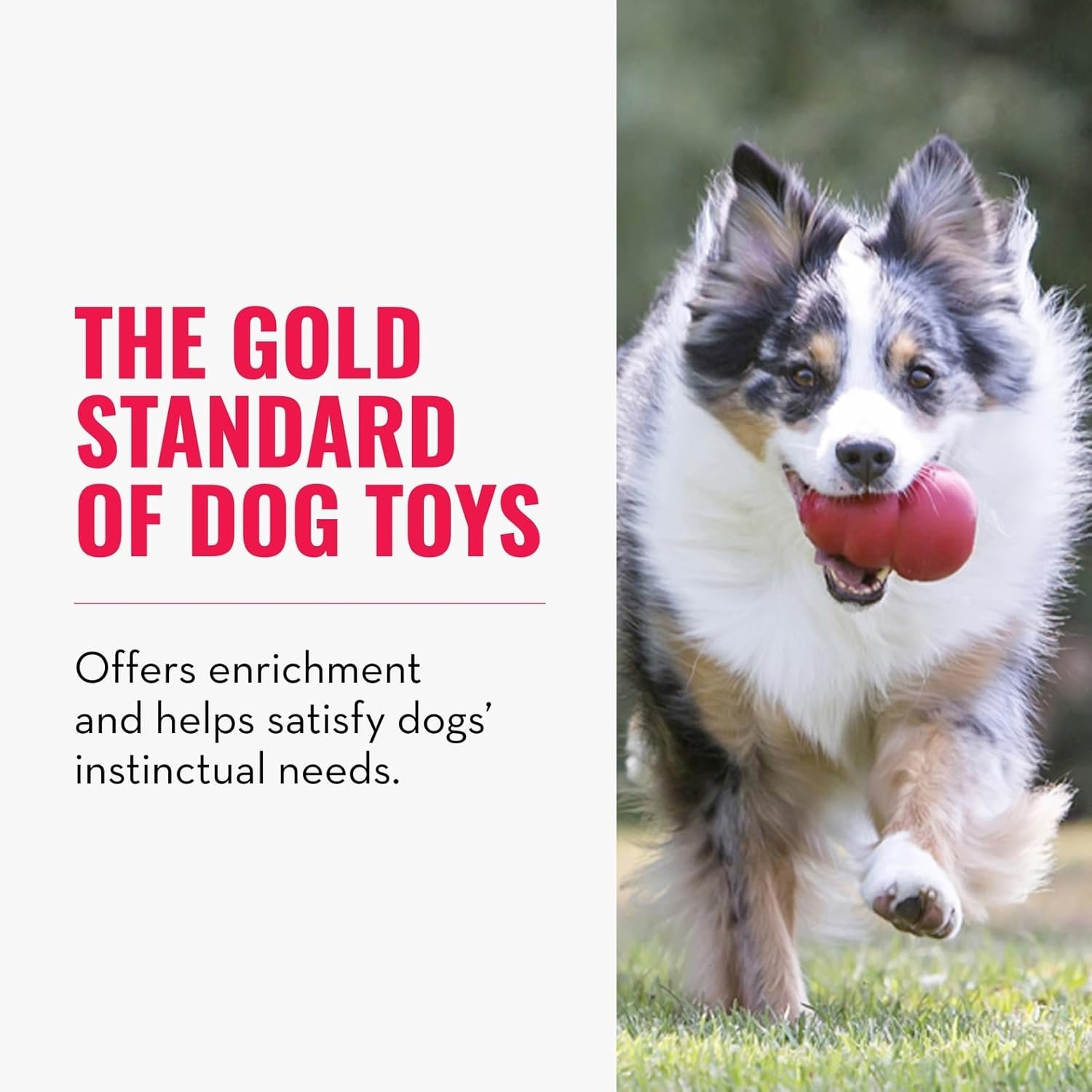 KONG Classic Stuffable Dog Toy - Fetch & Chew Toy for Dogs - Treat-Filling Capabilities & Erratic Bounce for Extended Play Time - Durable Natural Rubber Material - for Small Dogs - Image 3