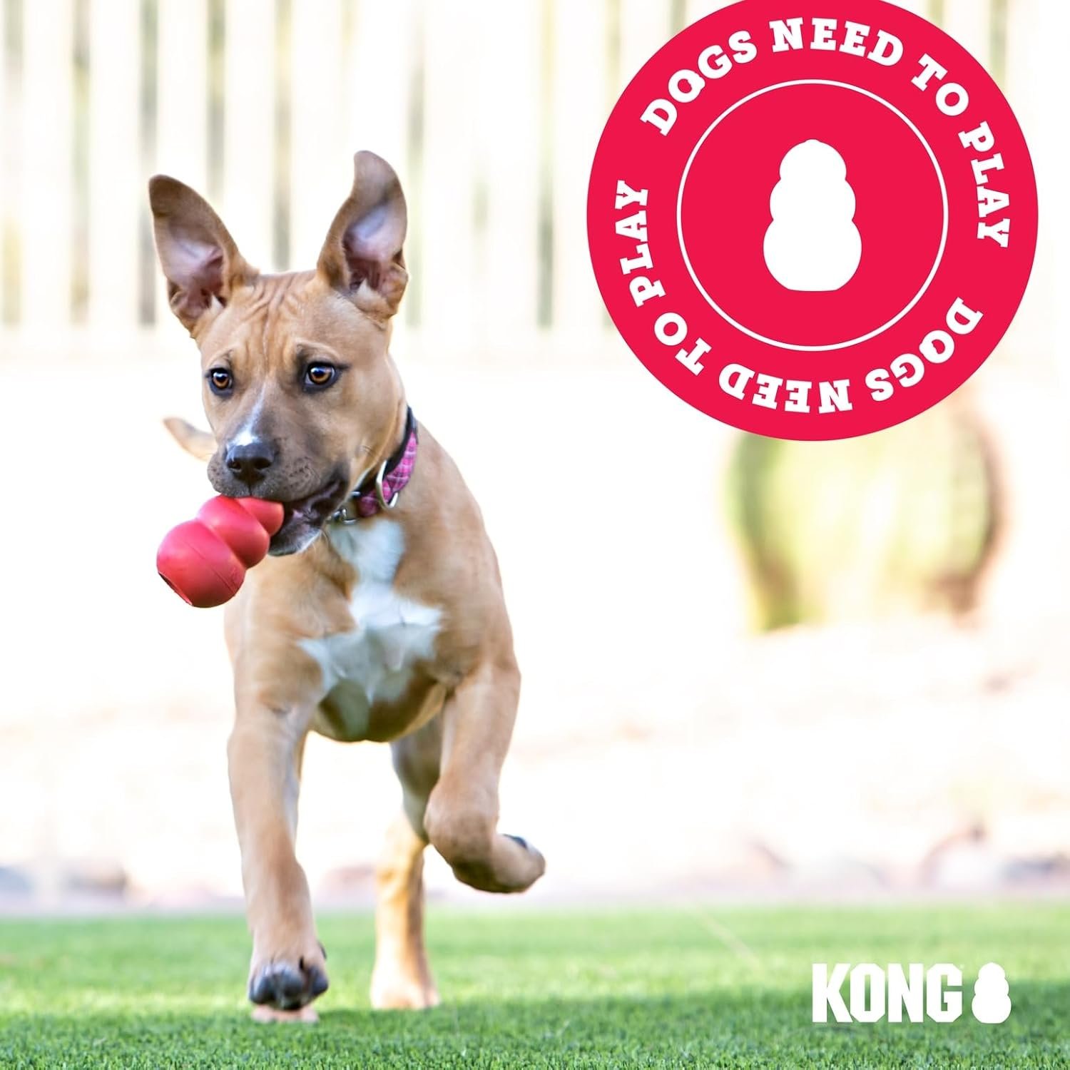 KONG Classic Stuffable Dog Toy - Fetch & Chew Toy for Dogs - Treat-Filling Capabilities & Erratic Bounce for Extended Play Time - Durable Natural Rubber Material - for Small Dogs - Image 8