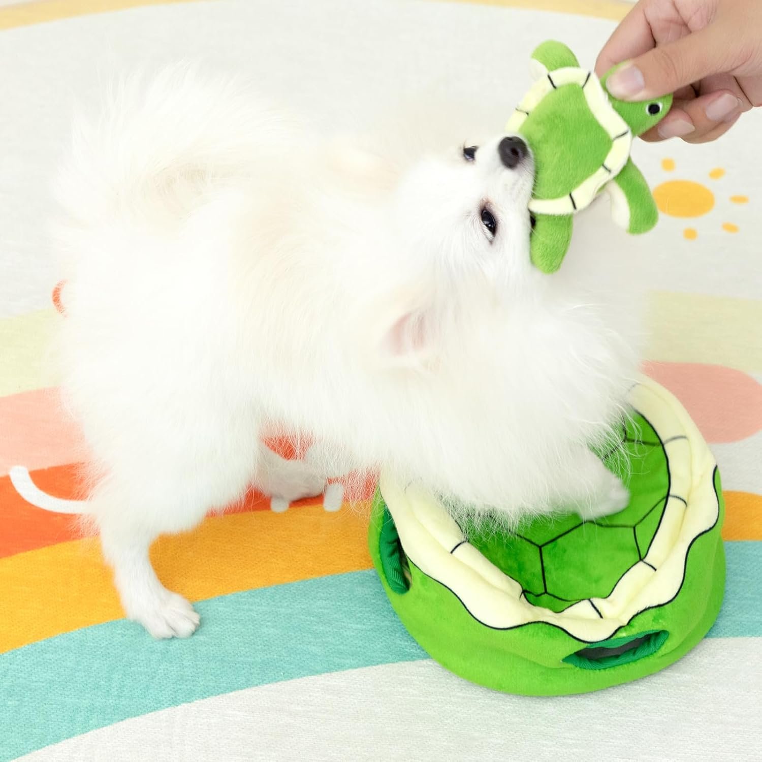 Hollypet Squeaky Dog Toy, Interactive Plush Hide and Seek Dog Toys for Small Medium Sized Dogs and Non-Aggressive Chewers, Puppy Teeth Clean Chew Toys, Turtles - Image 3