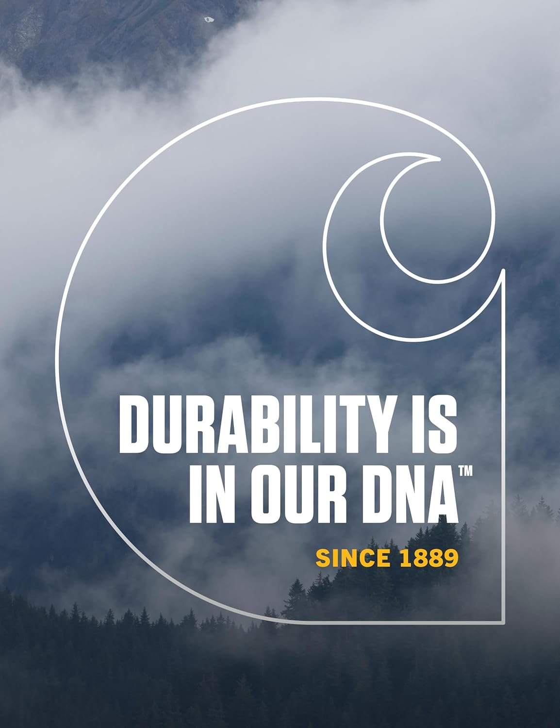 Carhartt Men's Knit Cuffed Beanie - Image 6