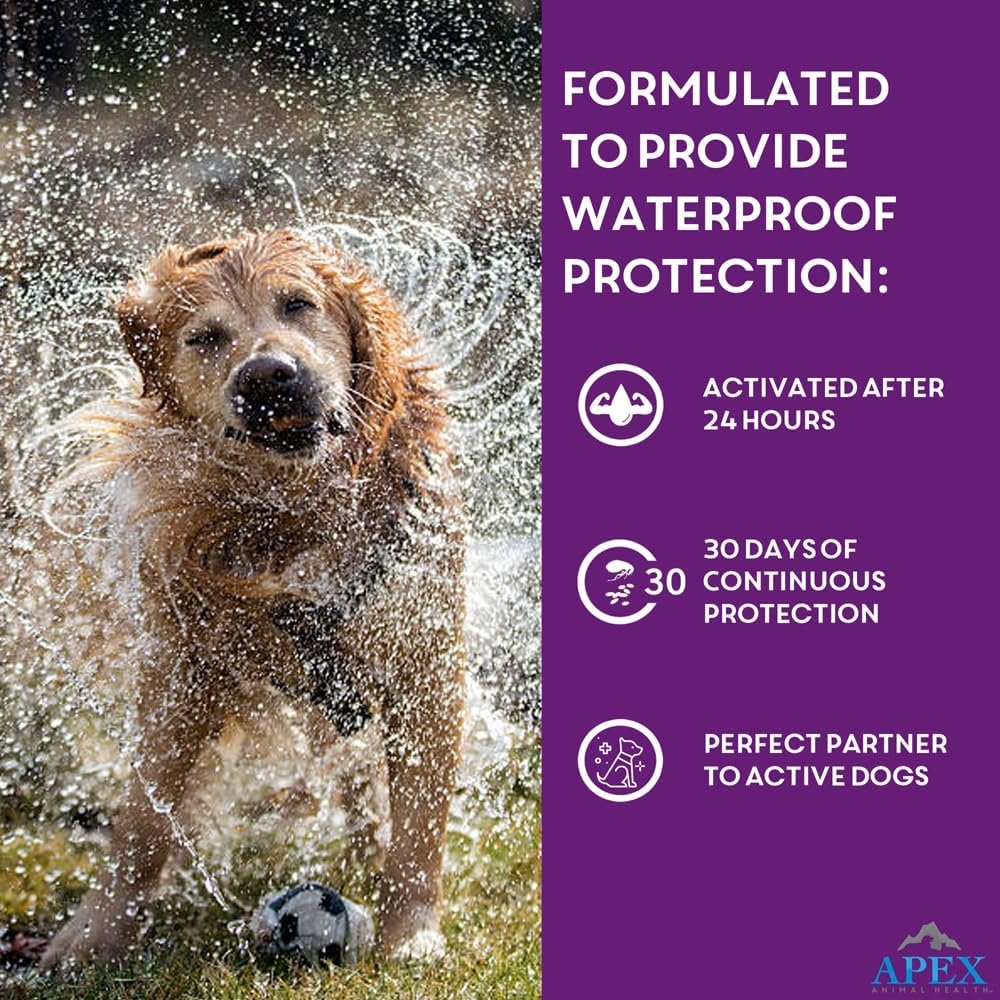 Apex Plus Flea and Tick Prevention for Dogs | Large (45-88 lbs) | 3-Month Supply | Dog Flea and Tick Treatment | 24-Hour Activation, Waterproof, 30-Day Protection - Image 8