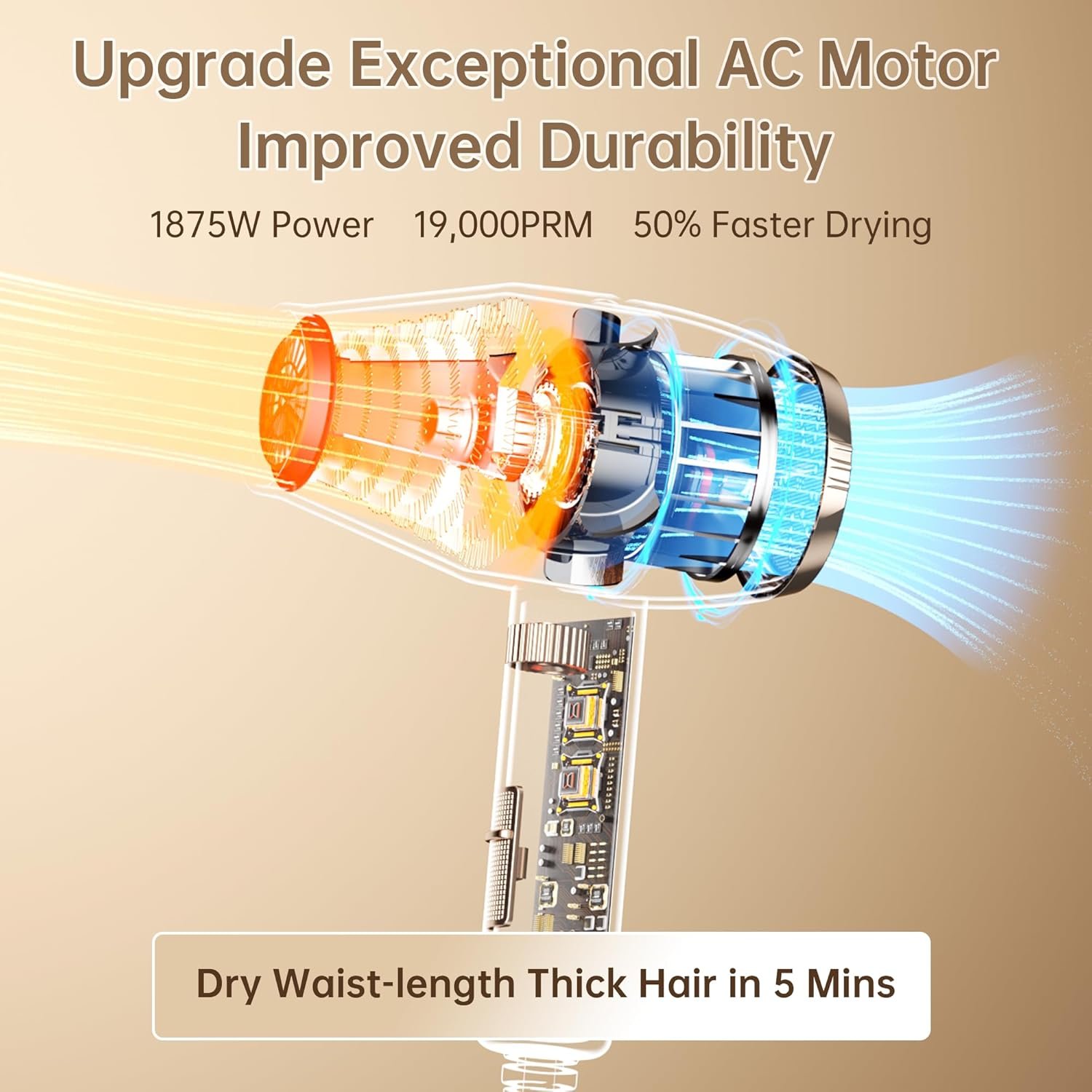 CONFU Blow Dryer Professional Hairdryer - 1875 Watt Powerful Blowdryer Fast Drying for Women & Men - Salon Ionic Hair Dryer with Diffuser for Curly & Wavy Hair (7.7ft Cord) - Image 2