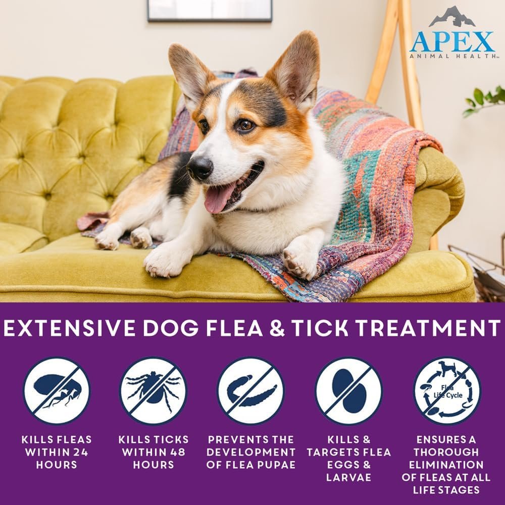 Apex Plus Flea and Tick Prevention for Dogs | Large (45-88 lbs) | 3-Month Supply | Dog Flea and Tick Treatment | 24-Hour Activation, Waterproof, 30-Day Protection - Image 2