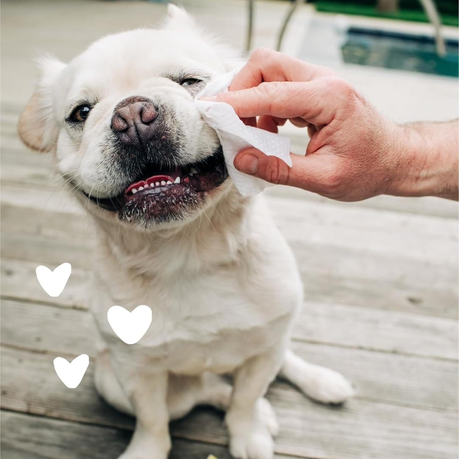 earthbath, Hypo-Allergenic Pet Eye Wipes - Fragrance Free Tear Stain Remover for Dogs Cats, Puppies and Kittens, Made in USA, 100% Cruelty Free - 30 Count (2 Pack) - Image 2