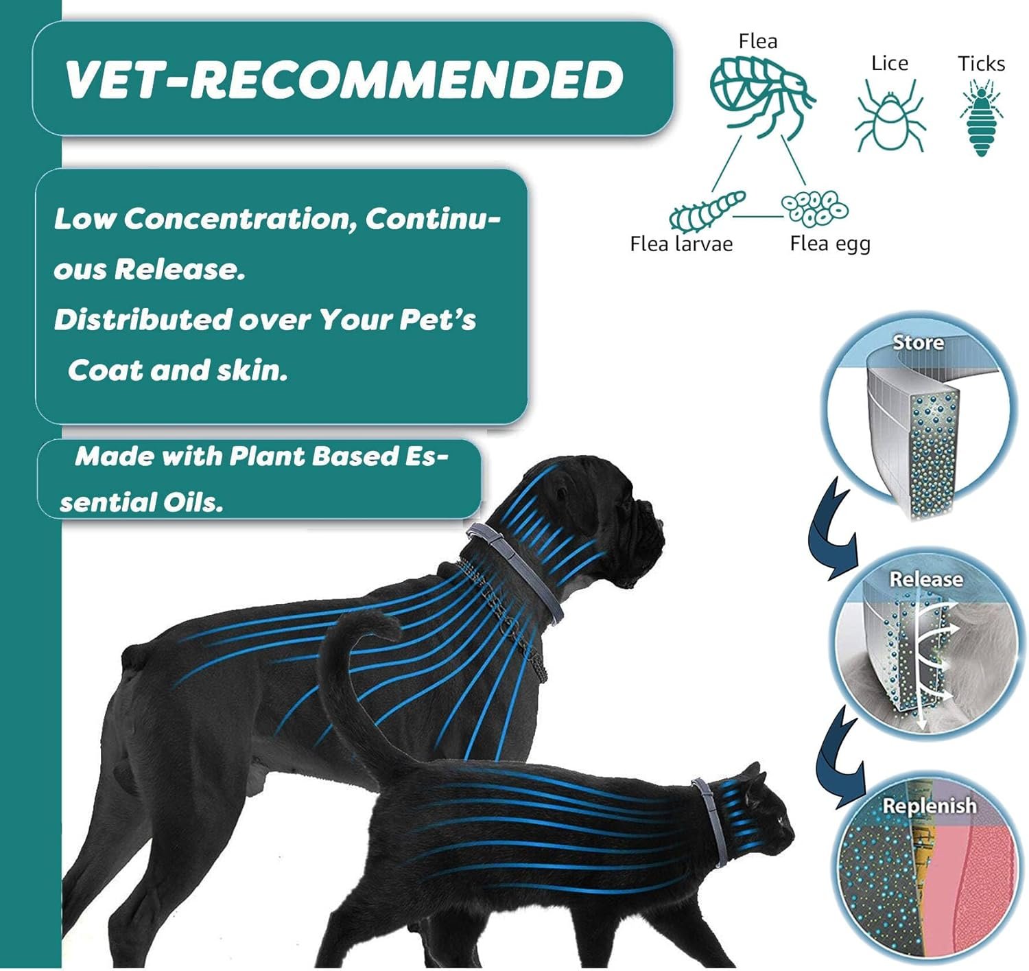 Flea and Tick Collar for Cats - Offers 12-Month Protection, Crafted with Premium Plant Oils, Waterproof, Natural, Safe for Kittens, Includes Free Comb and Tweezers, 13.8 in (2 Packs) - Image 3