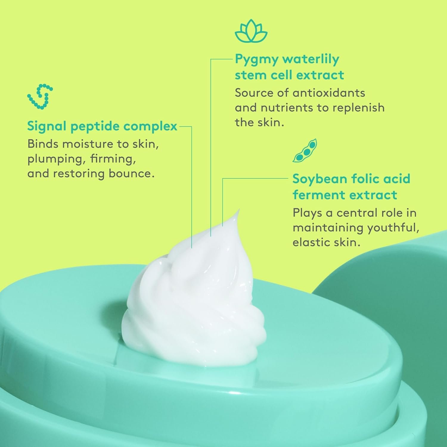 Drunk Elephant Protini Polypeptide Cream - Firming Moisturizer - Clean Clinical Skincare - Cruelty-Free - Dermatologist-Tested - Free of Essential Oils, Silicones, and Fragrance - Image 5