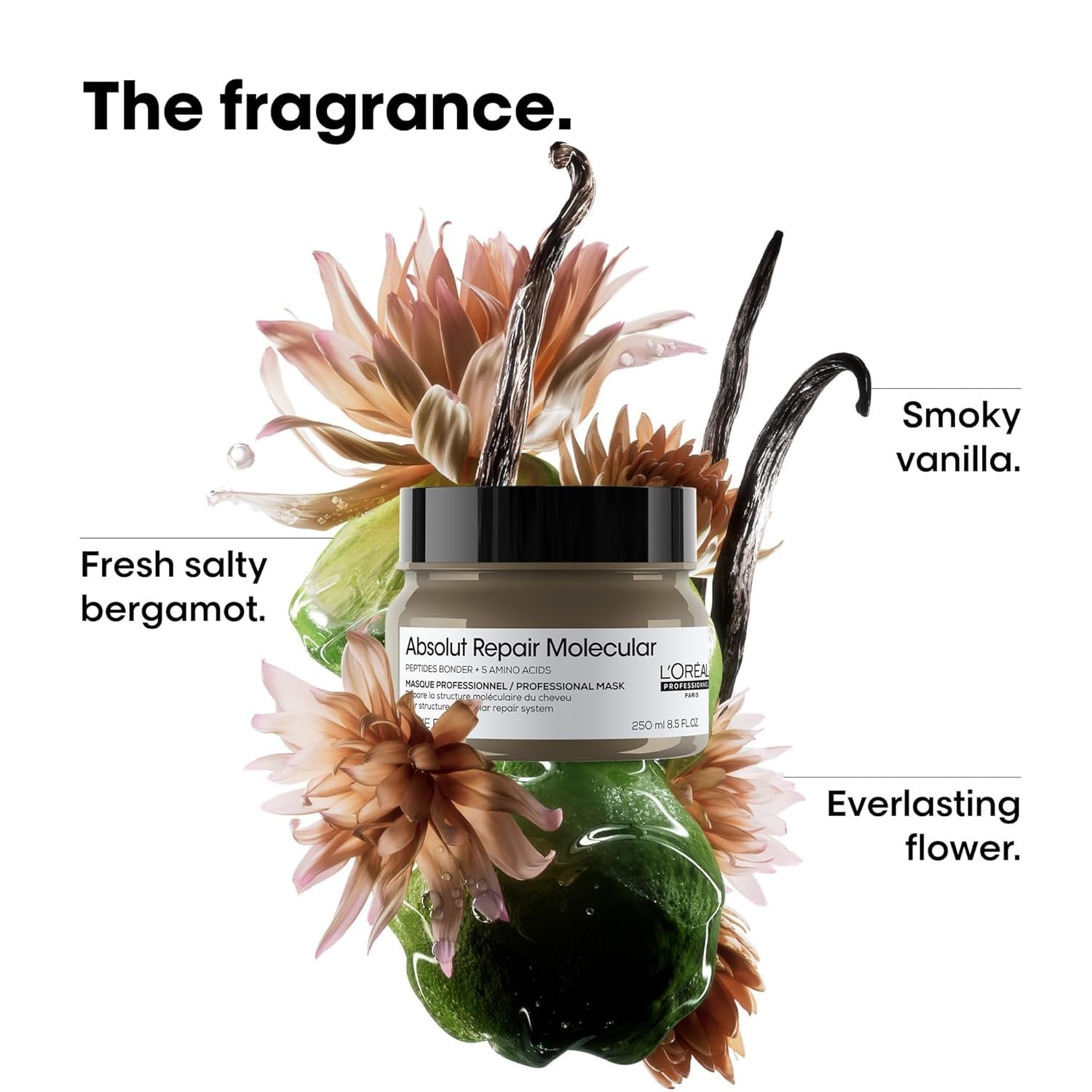 L'Oréal Professionnel Paris Absolut Repair Molecular Hair Mask - Repairs Damage & Restores Strength For Extremely Dry Damaged Hair, Extra Detangling & Hydration, Peptides Bonder - Image 5