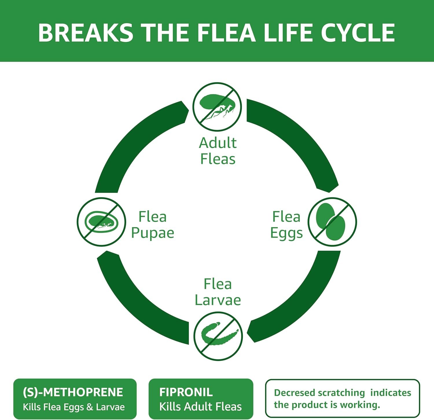 Amazon Basics Flea and Tick Topical Treatment for Cats (Over 1.5 Pounds), 3 Count (Previously Solimo) - Image 3