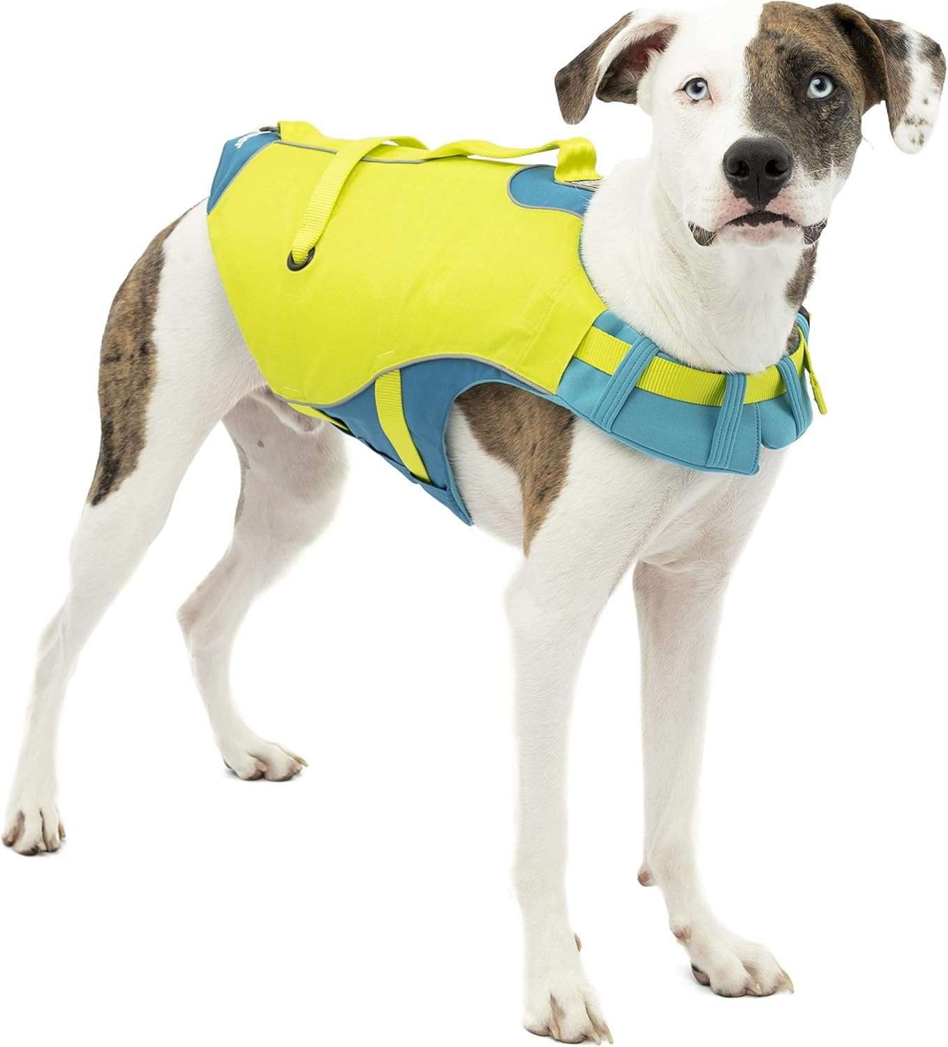 Kurgo Surf n' Turf Dog Life Jacket, Adjustable Dog PFD, Reflective Floatation Vest for Small to Large Pets (Yellow/Blue, X-Small)