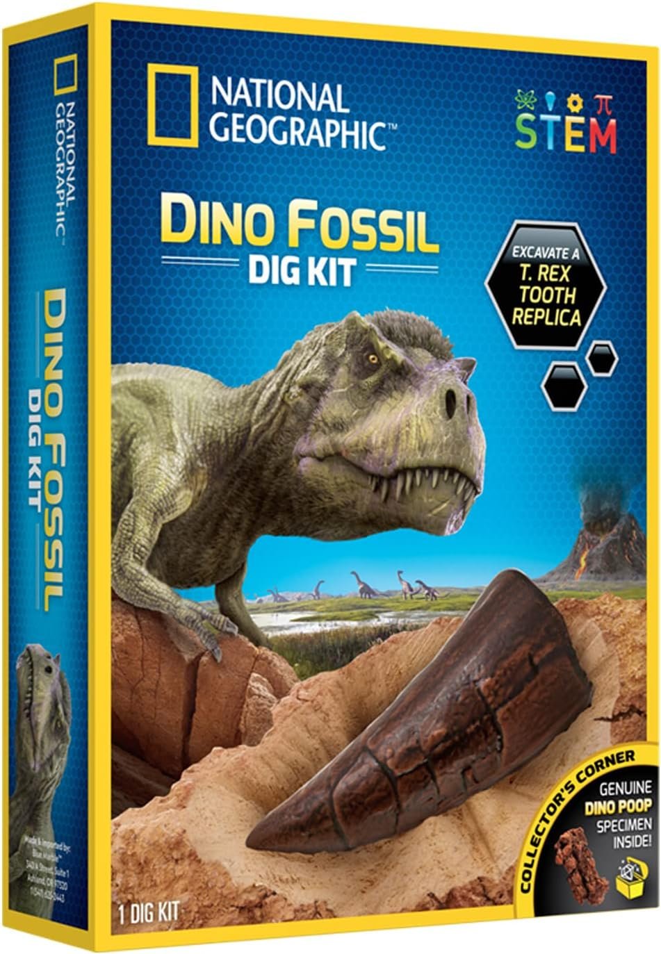 Bandai National Geographic - Excavation Kit - 3 Dinosaur Fossils to Dig Out - Educational and Science Game - STEM - JM80568M - Image 3