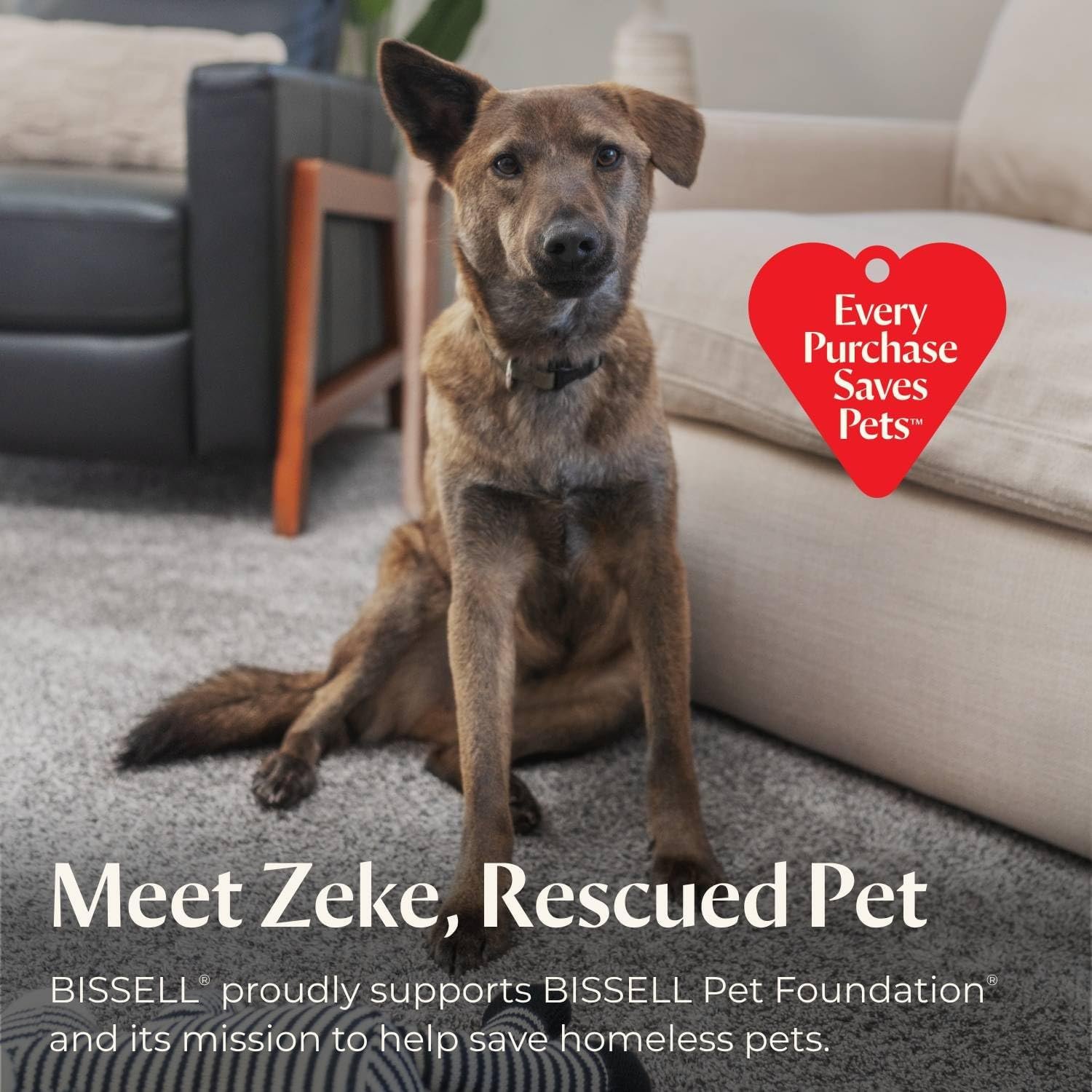 Bissell Pet Hair Eraser Turbo Lift-Off Vacuum, w/Self-Cleaning Brush Roll, HEPA Filtration, Powerful Pet Hair Pickup with TurboBrush Pivot Tool & LED-lit dusting Brush & Crevice Tool, 3774F - Image 6