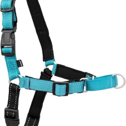 PetSafe Deluxe Easy Walk Harness - Trainer-Trusted Dog Chest Harness with Breathable Martingale Loop Design - Helps Stop Pulling with No Choking & Gagging - Large - Ocean