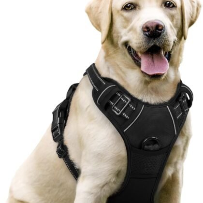 rabbitgoo Dog Harness No Pull with 2 Leash Clips, Adjustable Soft Padded, Reflective Oxford No Choke Pet Vest with Easy Control Handle for Large Dogs, Black, L