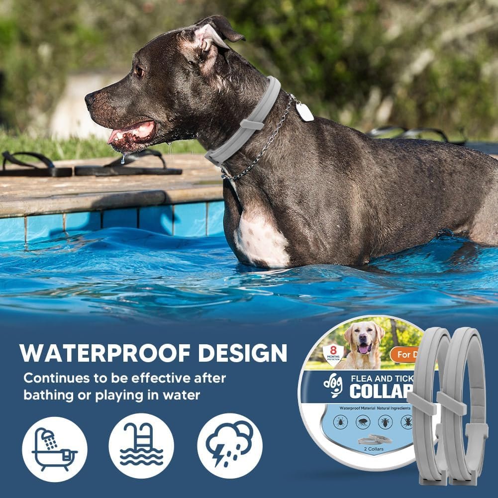 Flea Collars for Dog, Flea & Tick Collar for Dogs, Tick Collar for Large Dogs, Upgraded Sturdy & Adjustable 8 Months Prevention-Pack of 2 - Image 5