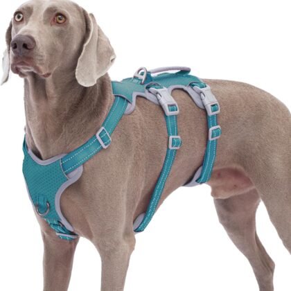 Huntboo Escape Proof Dog Harness, No Pull Reflective Harness with Lift Handle, Adjustable Pet Vest with Front and Back Leash Clips for Small Medium Large Dogs Walking Hiking Training (Teal,L)