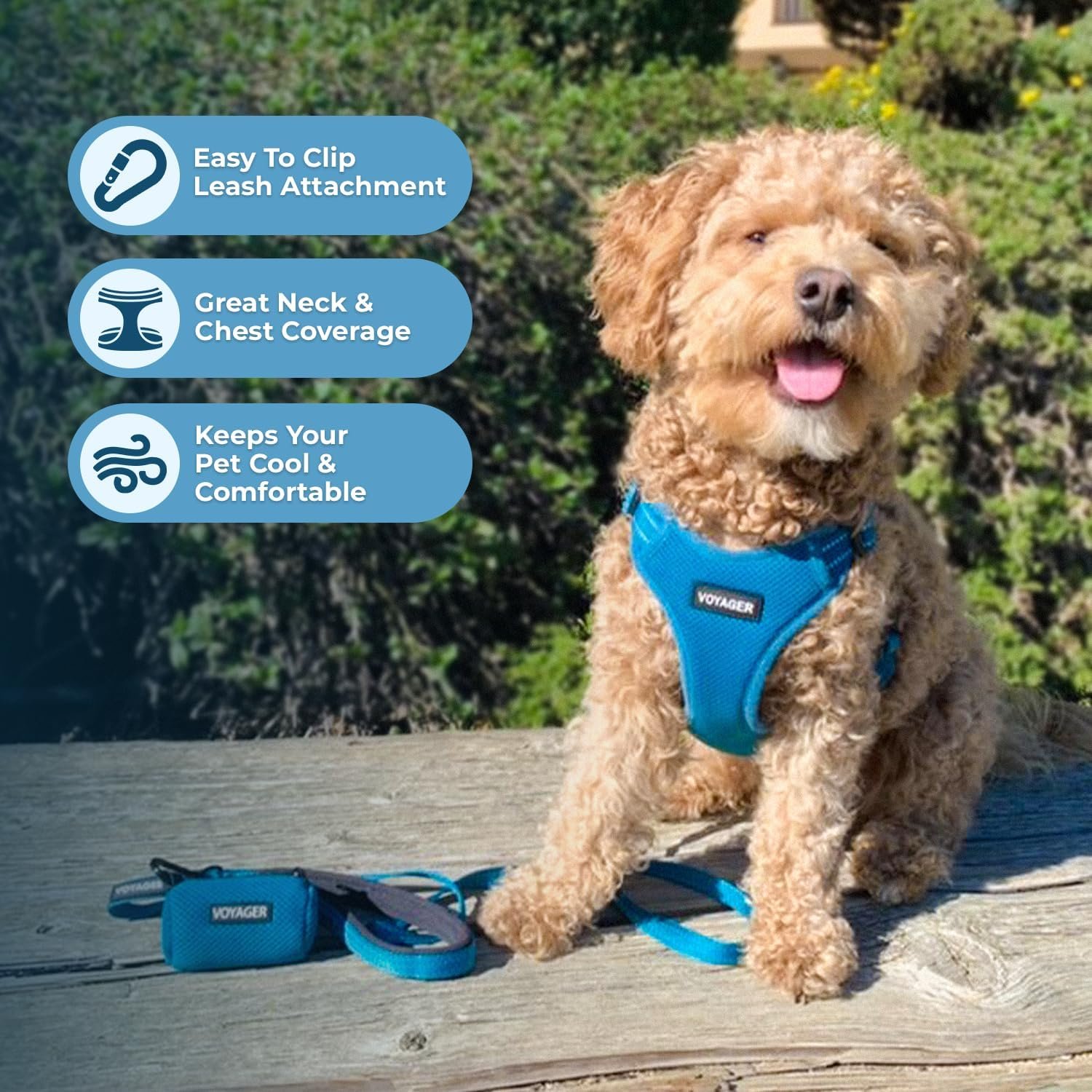 Best Pet Supplies Voyager Mesh Dog Breathable Harness Reflective Stitching, All Weather Adjustable for Walking Training, or Running - Heavy Duty & Durable, Harness (Turquoise), M - Image 5