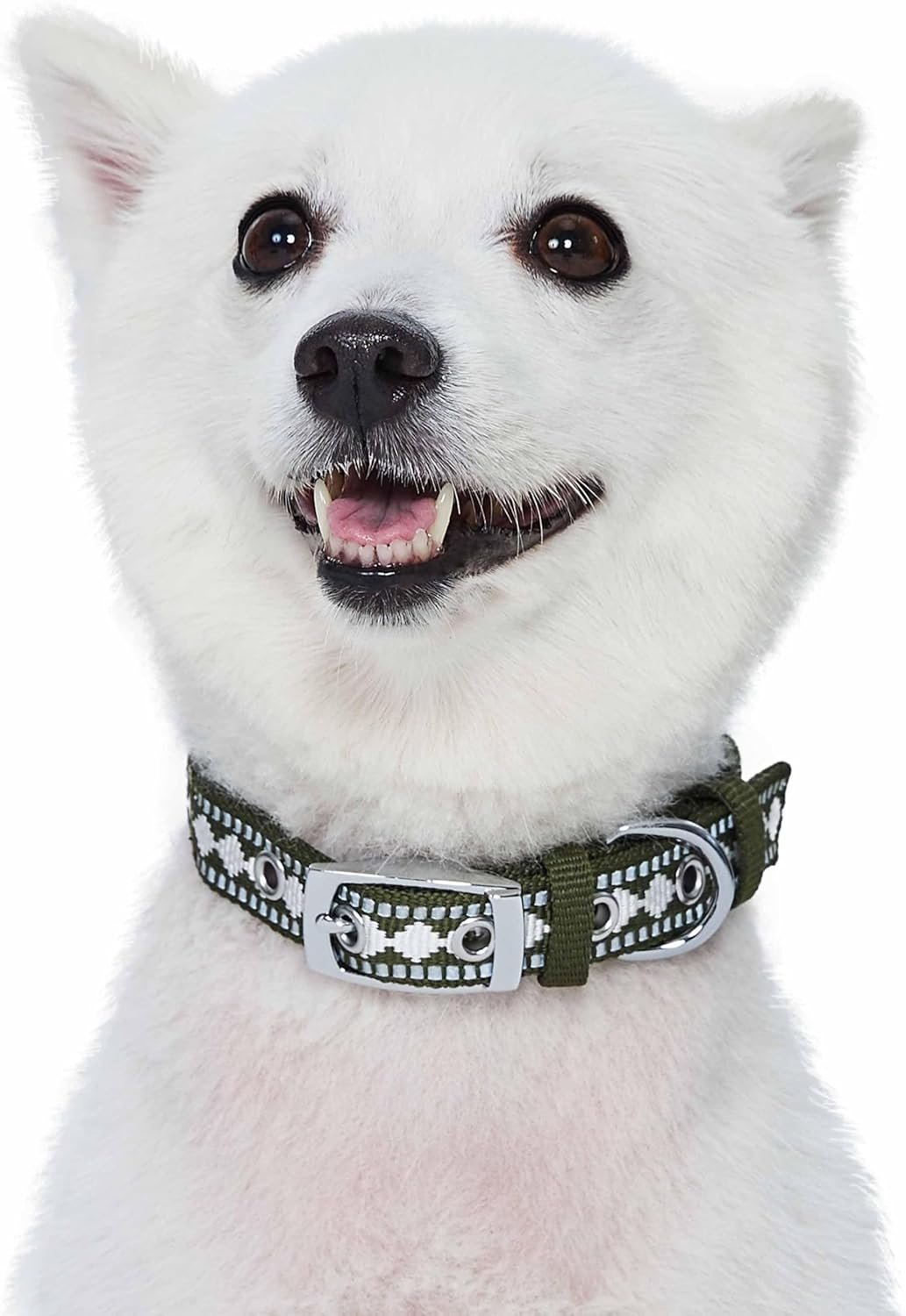Blueberry Pet Reflective Jacquard Dog Collar with Neoprene Padding & Metal Buckle | Soft & Adjustable Safety Collar - Olive, Neck 13-16.5", for Medium Breed - Image 5