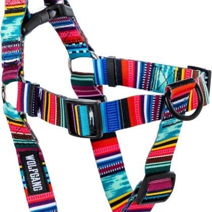 Wolfgang Heavy Duty Adjustable Dog Harness, Pull-Tested to Over 800 lbs for Walking & Training, Quetzal Print, Large