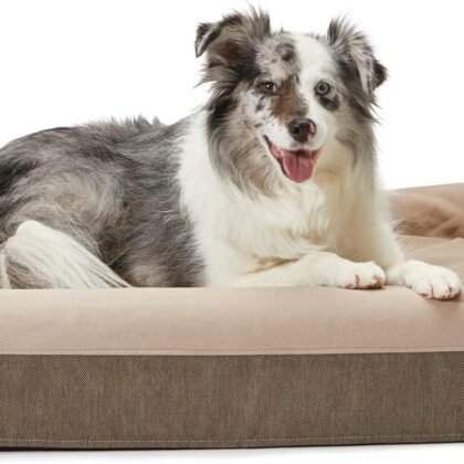 Casper Dog Bed, Plush Memory Foam, Medium, Sand