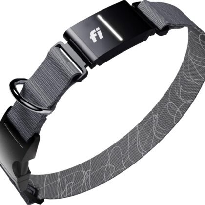 New Fi Series 3+ Smart Dog Tracker Collar [12 Month Membership Included] GPS Tracker for Dogs with Health & Behavior Monitoring, Escape Alerts, Waterproof, LED, Apple Watch Compatible (Gray, Large)