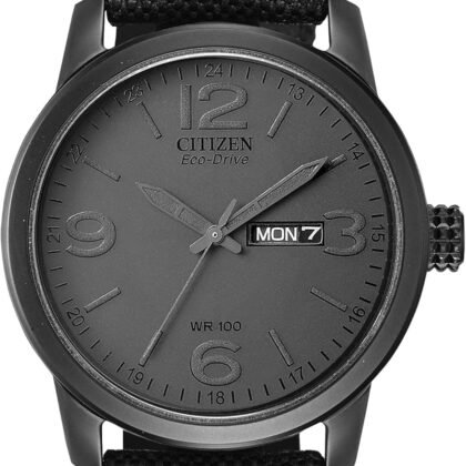 Citizen Men's Eco-Drive® Strap Watch