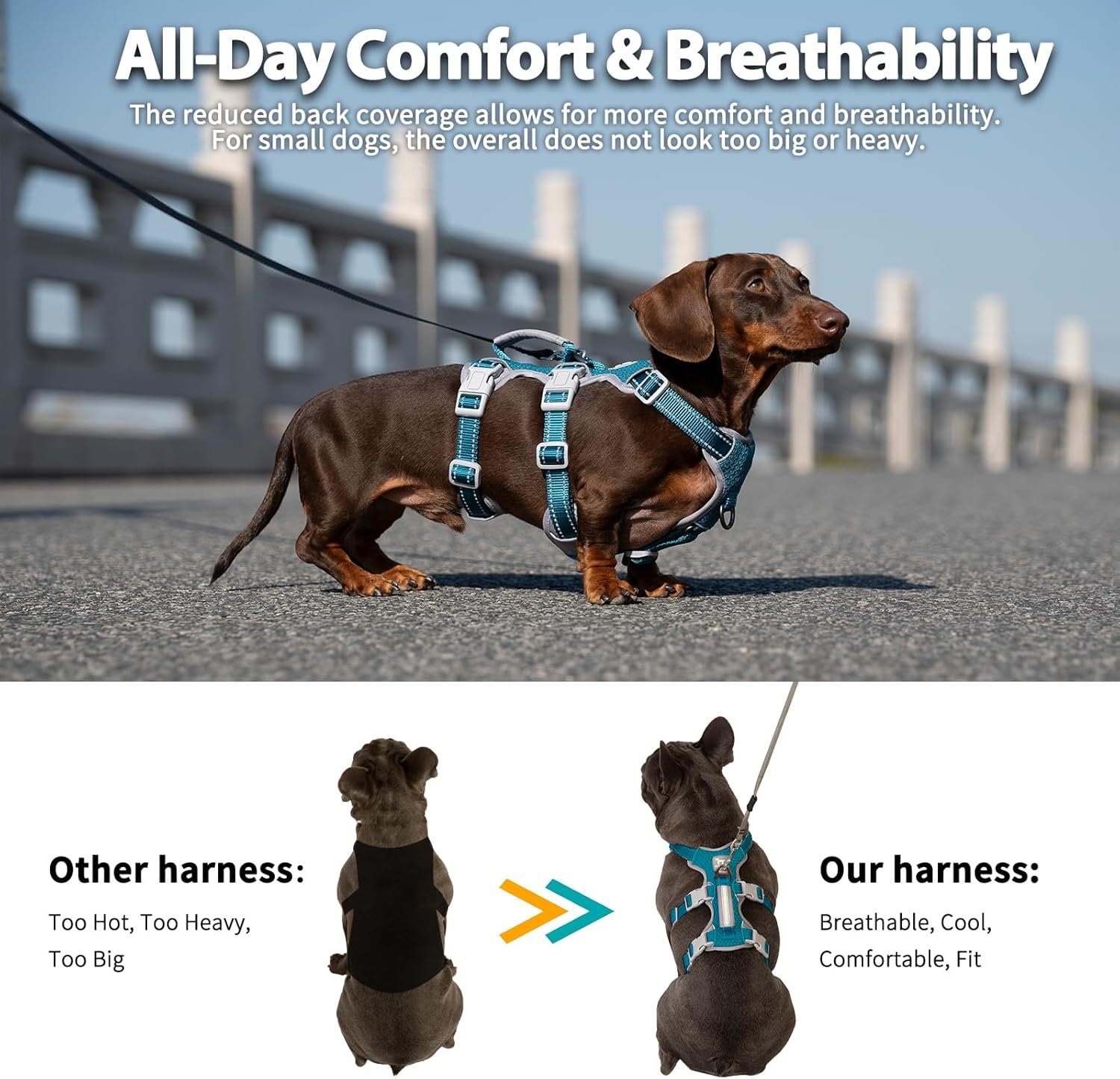 Huntboo Escape Proof Dog Harness, No Pull Reflective Harness with Lift Handle, Adjustable Pet Vest with Front and Back Leash Clips for Small Medium Large Dogs Walking Hiking Training (Teal,L) - Image 5