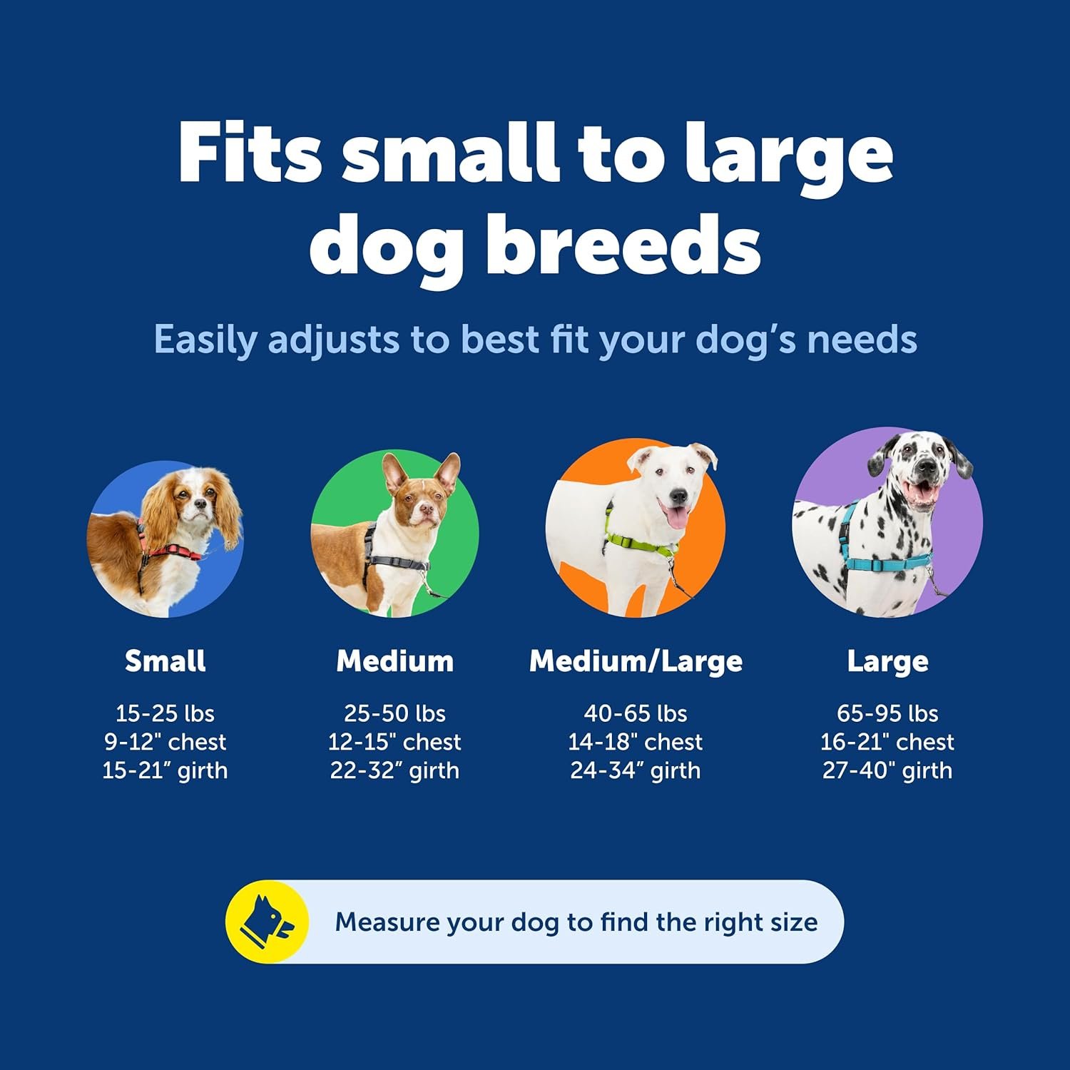 PetSafe Deluxe Easy Walk Harness - Trainer-Trusted Dog Chest Harness with Breathable Martingale Loop Design - Helps Stop Pulling with No Choking & Gagging - Large - Ocean - Image 6