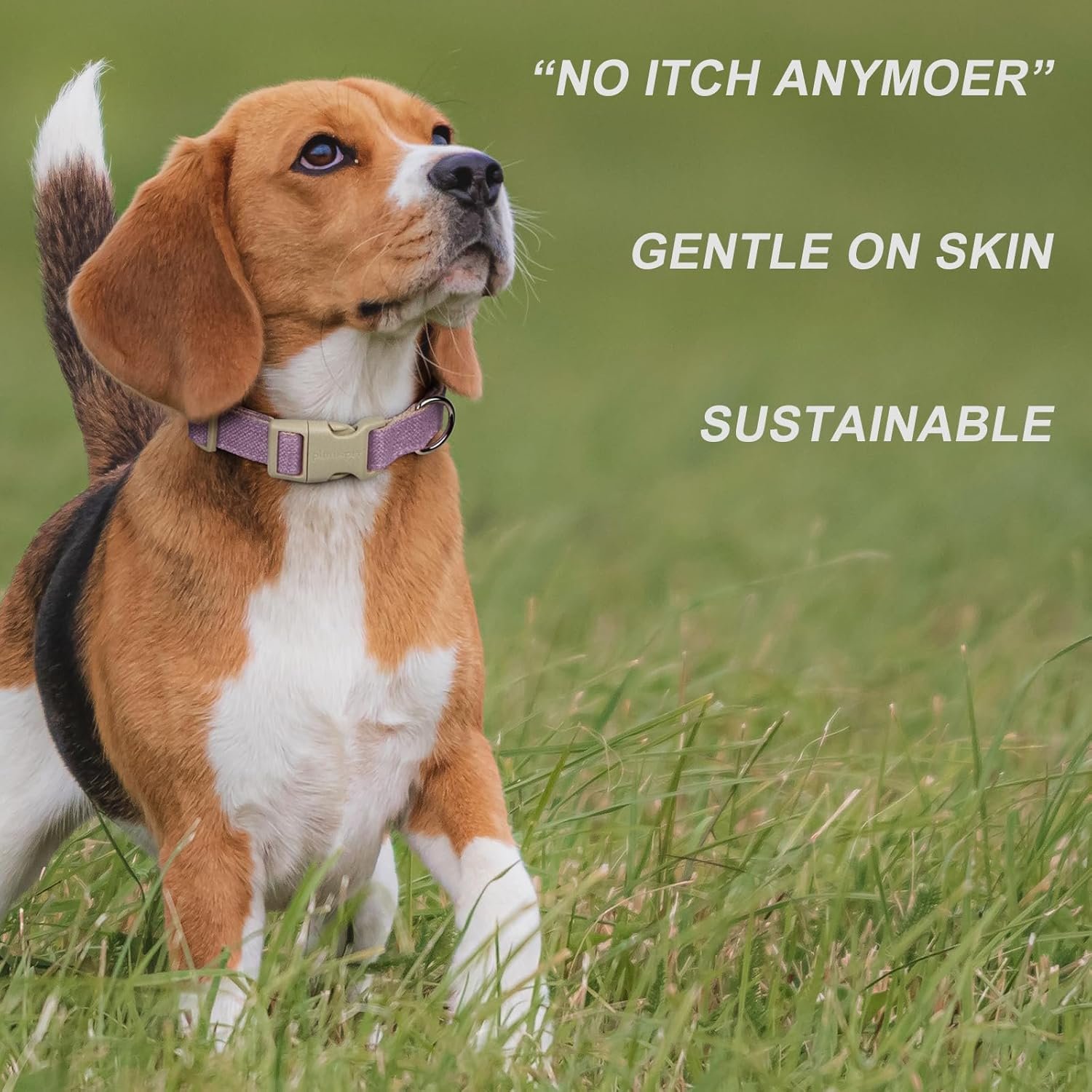 Plutus Pet Cotton Hemp Dog Collar and Leash Set, Adjustable Collar for Small, Medium, and Large Dogs, Heavy Duty and Soft on Skin, Lavender, S - Image 4