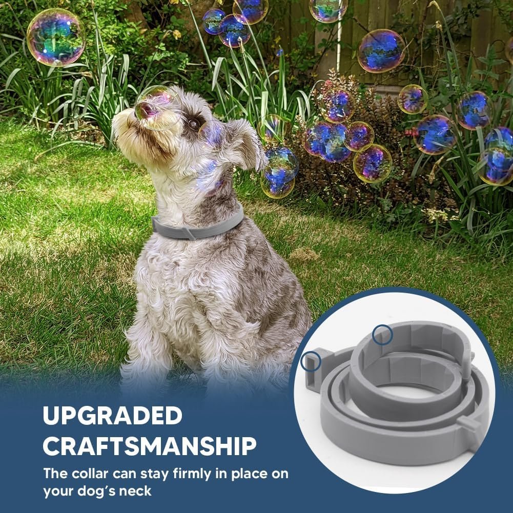 Flea Collars for Dog, Flea & Tick Collar for Dogs, Tick Collar for Large Dogs, Upgraded Sturdy & Adjustable 8 Months Prevention-Pack of 2 - Image 6