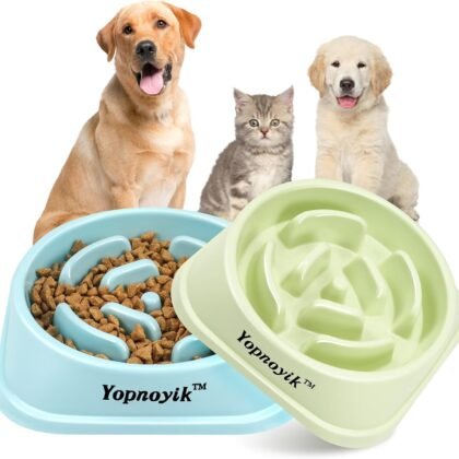 2 Pack Slow Feeder Dog Bowls for Healthy Eating, Non-Slip and Anti-Choking Design, Reduces Bloating & Overeating for Medium Dogs and Cats, Easy to Clean