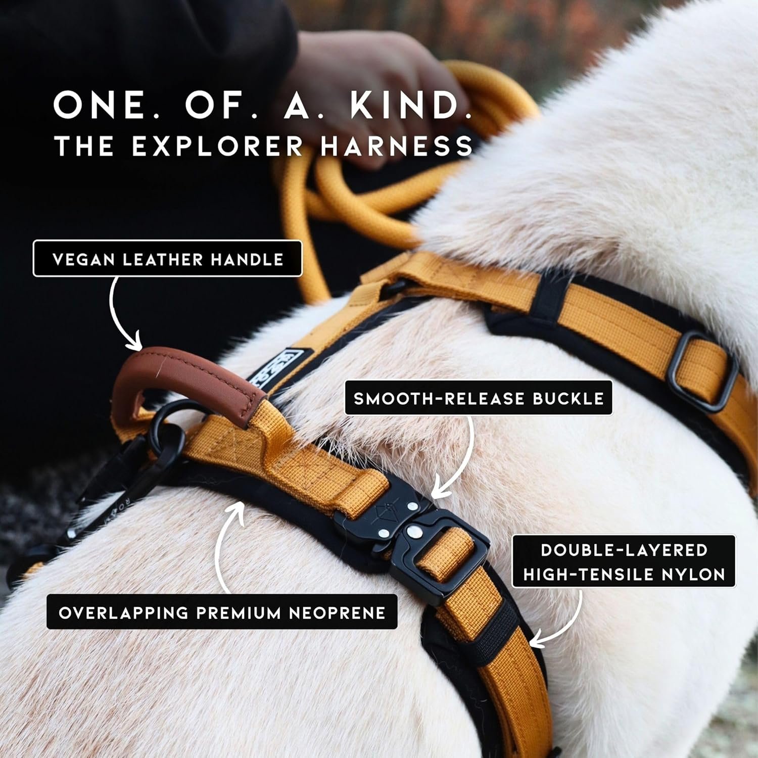 MADE TO ROAM Premium Explorer Harness - Y-Shaped Dog Harness with Adjustable Durable Nylon, Soft Padding, Metal Buckles and Leather Handle for Small, Medium, Large Dogs (Oregon Haze, Size 1) - Image 2