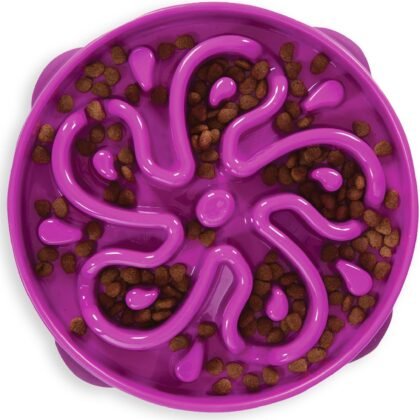 Outward Hound Large Slow Feeder Bowl, Puzzle Maze for Fast Eaters, Medium to Large Dogs, Helps Prevent Bloat & Aid Digestion, Holds 4 Cups Wet or Dry Food, Non-Slip, Made Without BPA, Purple