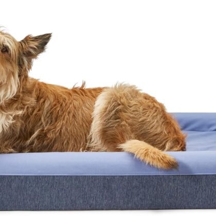 Casper Dog Bed, Plush Memory Foam, Medium, Blue